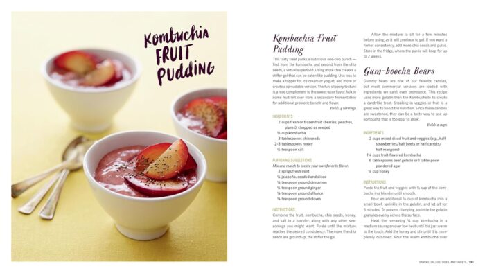 Storey Publishing Big Book of Kombucha - Image 6