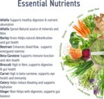 Applied Nutrition Critical Greens Powder and Superfood Blend for Gut Health Energy and Immune Support Vegan Daily Greens Juice Powder (250g - 50 Servings) - Image 3