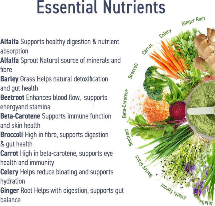 Applied Nutrition Critical Greens Powder and Superfood Blend for Gut Health Energy and Immune Support Vegan Daily Greens Juice Powder (250g - 50 Servings) - Image 3
