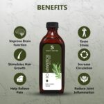 BEAUTY AMBITION Rosemary Oil For Dry, Damaged Hair & Skin Care Oil Essential Oils Pure, Organic, Natural, Undiluted Oil - 150 Ml - Image 2