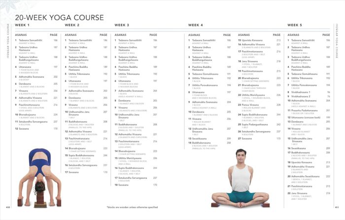 DK B.K.S. Iyengar Yoga The Path to Holistic Health: The definitive step-by-step guide - Image 9
