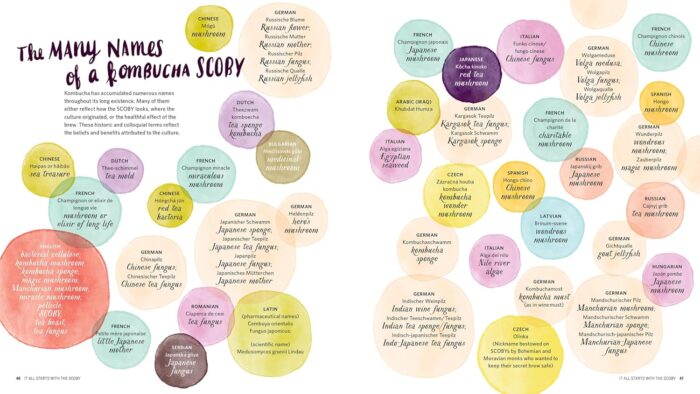 Storey Publishing Big Book of Kombucha - Image 8