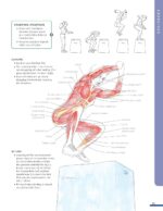 Anatomy for Strength and Fitness Training - Image 8