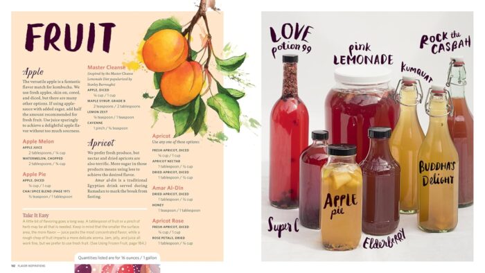 Storey Publishing Big Book of Kombucha - Image 3