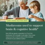 Gaia Herbs Lion’s Mane Mushroom - Brain and Nerve Support Supplement to Help Maintain Neurological Health - with Organic Lion's Mane Mushrooms - 40 Vegan Liquid Phyto-Capsules (40-Day Supply) - Image 5