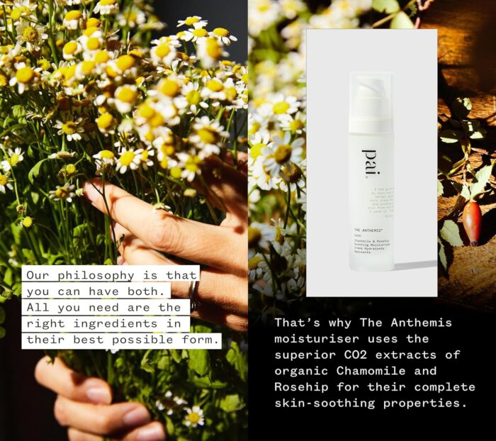 PAI SKINCARE - The Anthemis: Organic Chamomile + Rosehip Soothing Facial Moisturizer | Natural, Vegan, Sensitive Skincare (1.7 fl oz | 50 mL) - Image 3