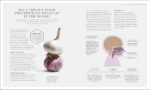 The Science Of Nutrition: Debunk The Diet Myths And Learn How To Eat Well For Health And Happiness - Image 12