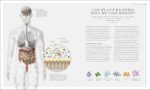 The Science Of Nutrition: Debunk The Diet Myths And Learn How To Eat Well For Health And Happiness - Image 8