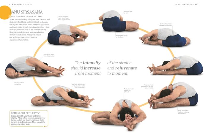 BKS Iyengar Yoga The Path to Holistic Health: The Definitive Step-by-Step Guide - Image 5
