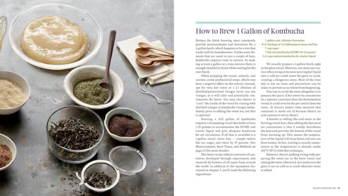 Storey Publishing Big Book of Kombucha - Image 2