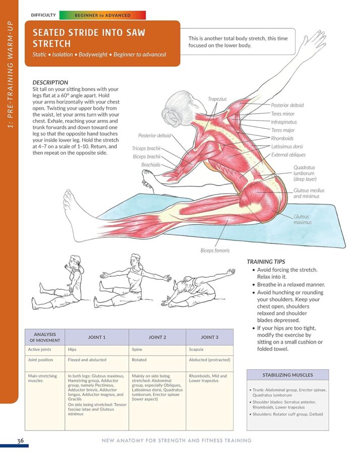 Anatomy for Strength and Fitness Training - Image 4