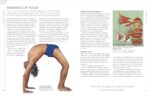 DK B.K.S. Iyengar Yoga The Path to Holistic Health: The definitive step-by-step guide - Image 4