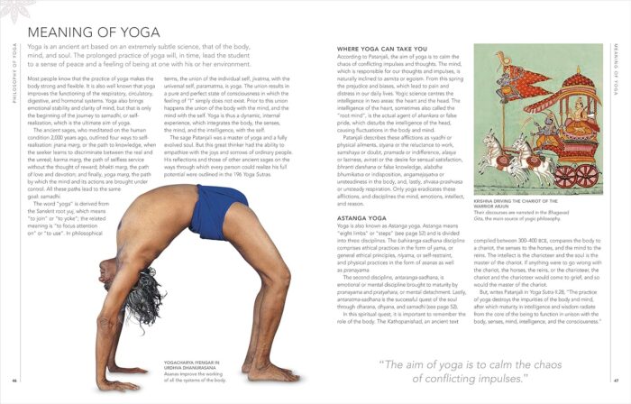 DK B.K.S. Iyengar Yoga The Path to Holistic Health: The definitive step-by-step guide - Image 4