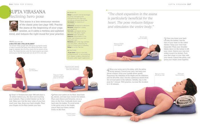 BKS Iyengar Yoga The Path to Holistic Health: The Definitive Step-by-Step Guide - Image 6