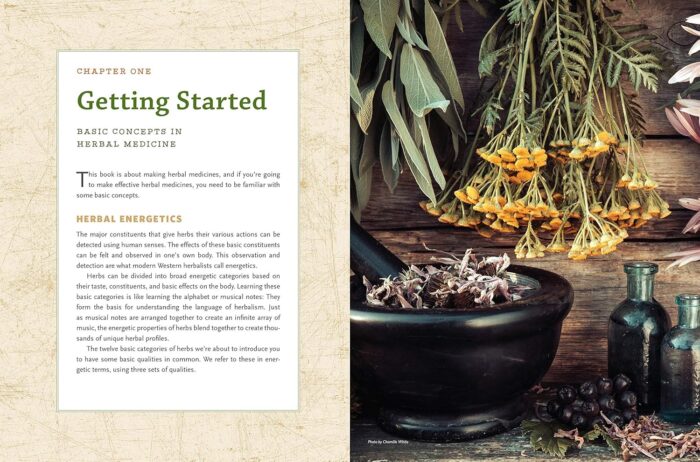 North Atlantic Books The Modern Herbal Dispensary: A Medicine-Making Guide - Image 6