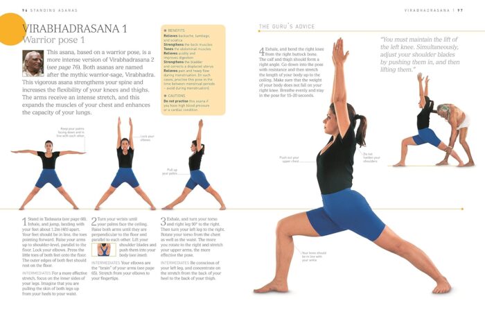 BKS Iyengar Yoga The Path to Holistic Health: The Definitive Step-by-Step Guide - Image 4