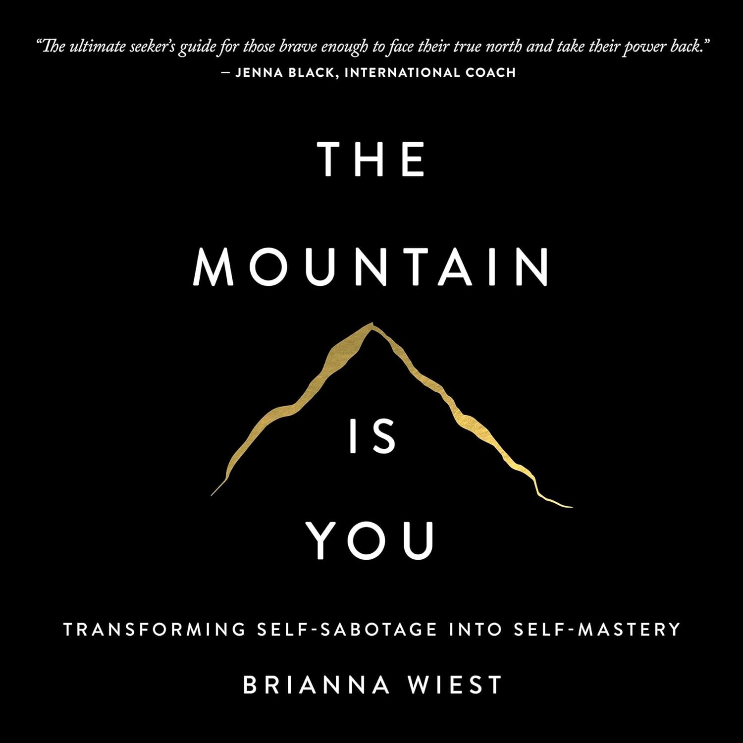 The Mountain Is You: Transforming Self-Sabotage into Self-Mastery