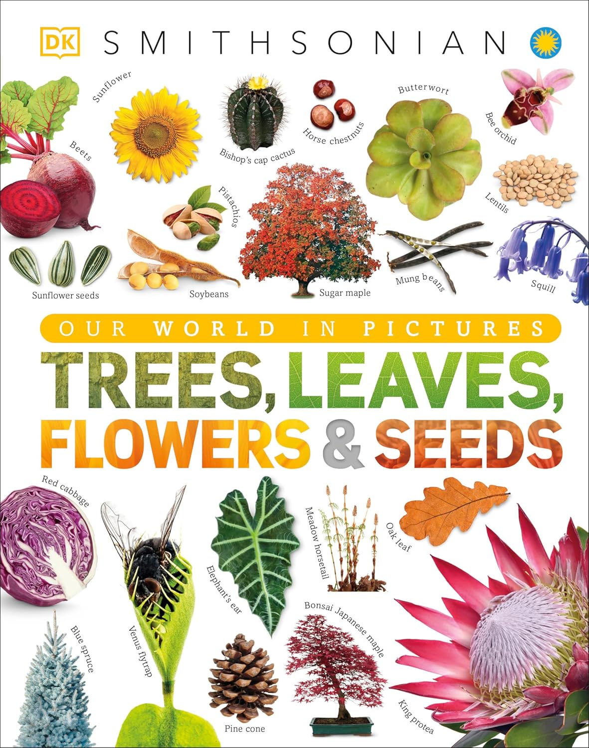 Trees, Leaves, Flowers and Seeds: A Visual Encyclopedia of the Plant Kingdom (DK Our World in Pictures)