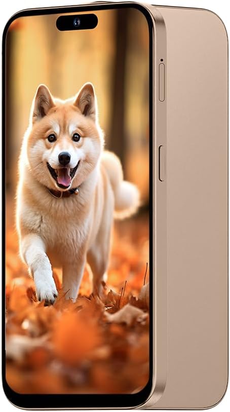 Unlocked 3G Mobile Phone, 6.6-inch Screen 16GB ROM (SD to 128GB), Dual SIM Dual Cameras, Android 10.0 OS, Face ID Cell Phones (Gold)