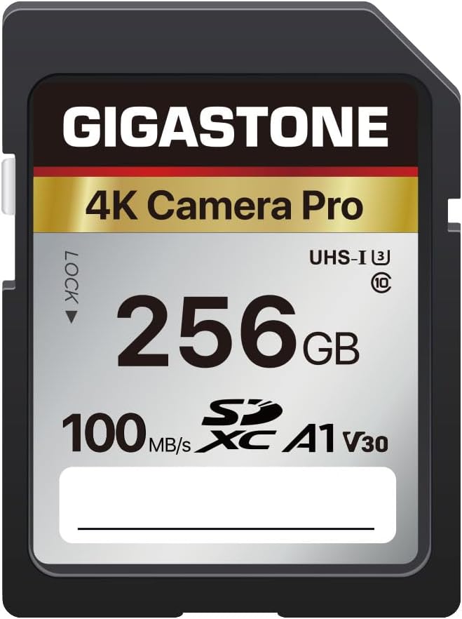 【5-Years Data Recovery】 GIGASTONE 256GB SD Card, 4K Camera Pro, A1 V30 SDXC Memory Card 4K UHD Video Compatible with Canon Digital Camera, with 1 Mini Case