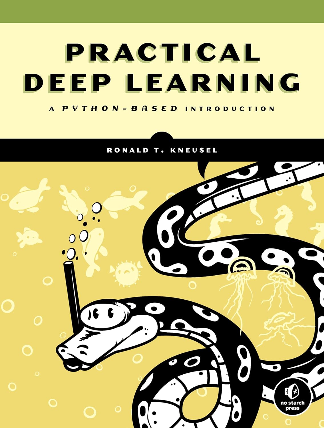 Practical Deep Learning: A Python-Based Introduction