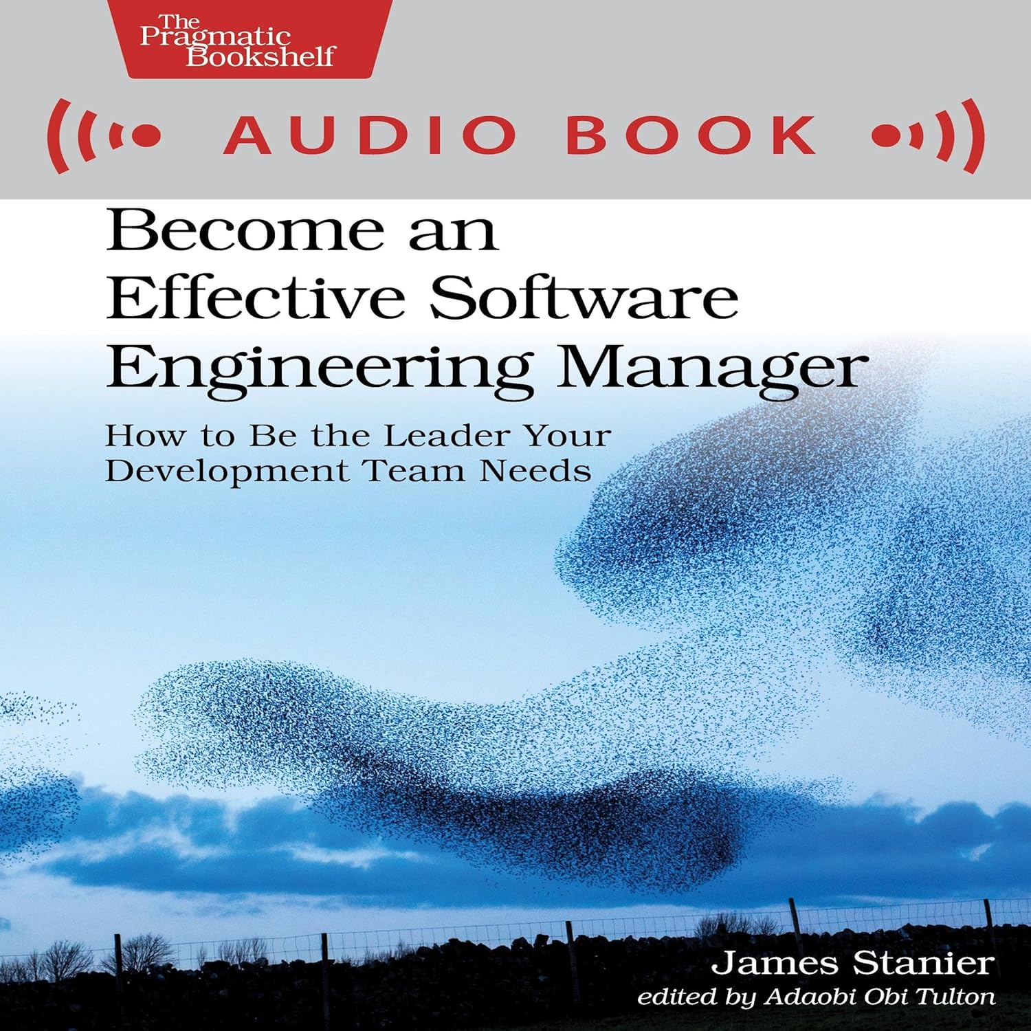 Become an Effective Software Engineering Manager: How to Be the Leader Your Development Team Needs