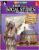 180 Days™: Social Studies, Civics for 5th Grade Practice Workbook for Classroom and Home, Cool and Fun Practice Created by Teachers