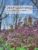 Deep Learning (Adaptive Computation and Machine Learning series)